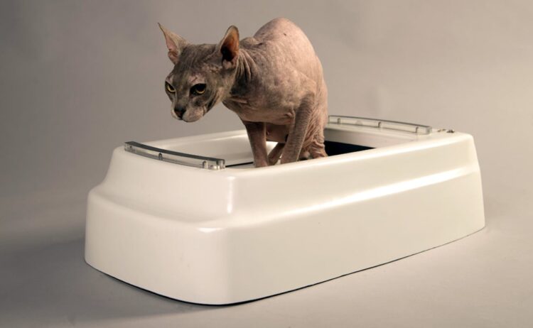 CATOLET Smart Automatic Litter Box